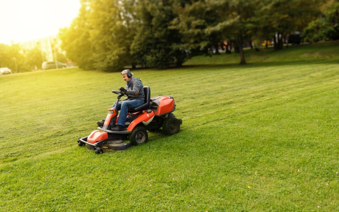 Commercial Lawn Care & Landscaping in Charlottesville, Virginia