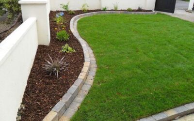 Lawn Edging: A guide to edging lawns