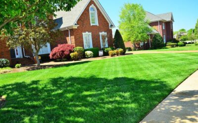 What Month Should You Start to Cut Your Lawn?