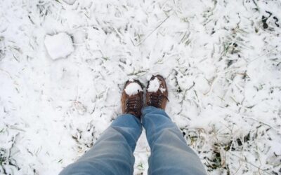 5 Essential Tips to Take Care of Your Lawn This Winter