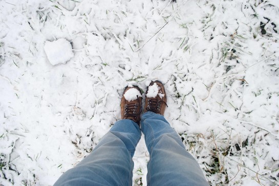 5 Essential Tips to Take Care of Your Lawn This Winter