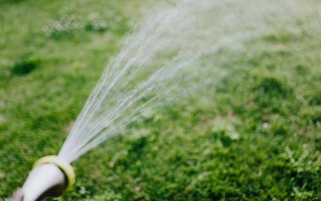 How To Properly Water Your Lawn