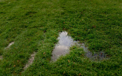 Tips To Prevent A Soggy Lawn After Rainfall