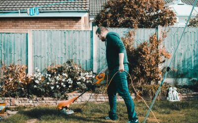 Lawn Care Hacks That Will Save You Time and Money