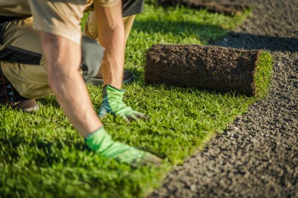 The Benefits of Hiring a Garden and Landscaping Service
