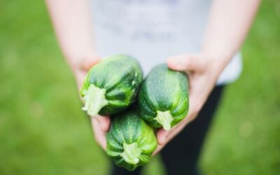 The Beginner’s Guide to Vegetable Gardening