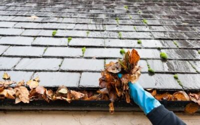 The Importance of Regular Gutter Cleaning for Your Home