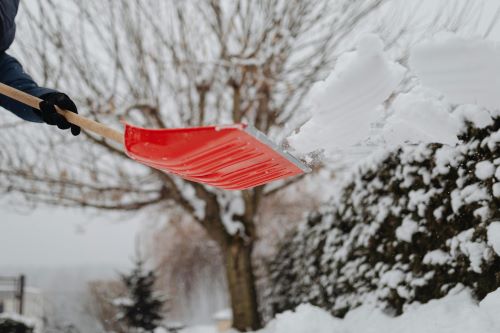 How to Prevent Winter Damage to Your Lawn and Garden