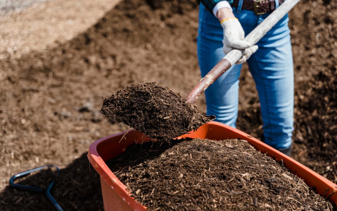 The Importance of Winter Mulching for Plant Health