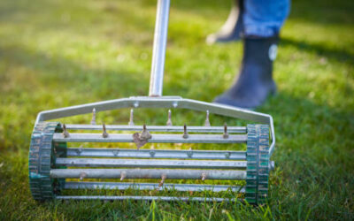 How Late Winter Lawn Aeration Boosts Spring Growth